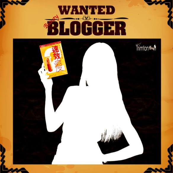 Bloggers wanted